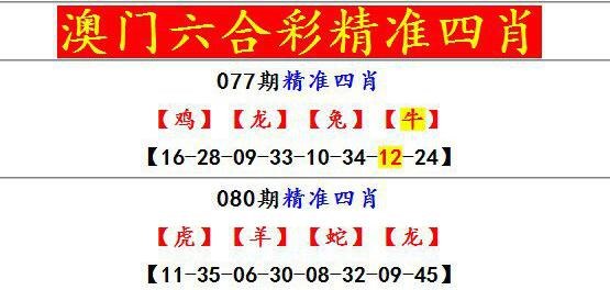 澳门管家资料,最新热门解析实施_精英版121,127.13