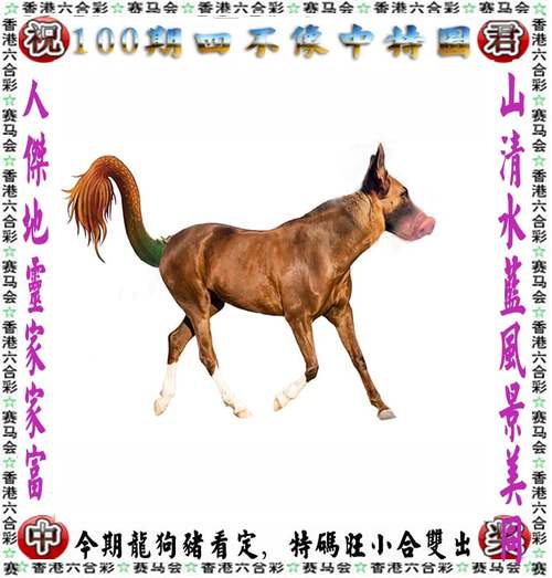 49tkcom澳彩资料图库正版资料下载:普京专机遭袭击