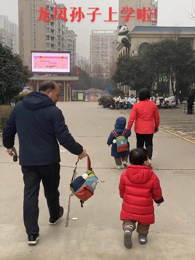 49图库图片资料大全:送孙子上学被撞身亡