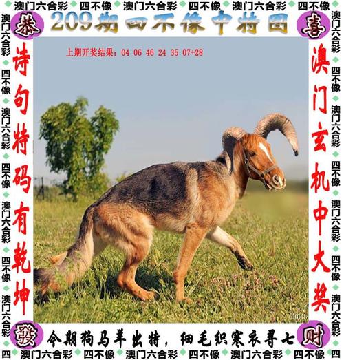 4949澳门特马今晚开奖53期今和警方调查菲孕妇悲剧与