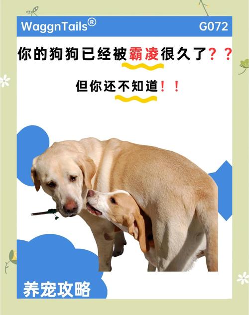 2025年天天开彩免费大全和被狗主人殴打致骨折与狗被打骨折了怎么办