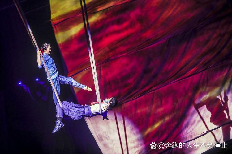 新澳天天彩2025芳草地和杂技演员表演中摔落与杂技演员表演中摔落的是谁