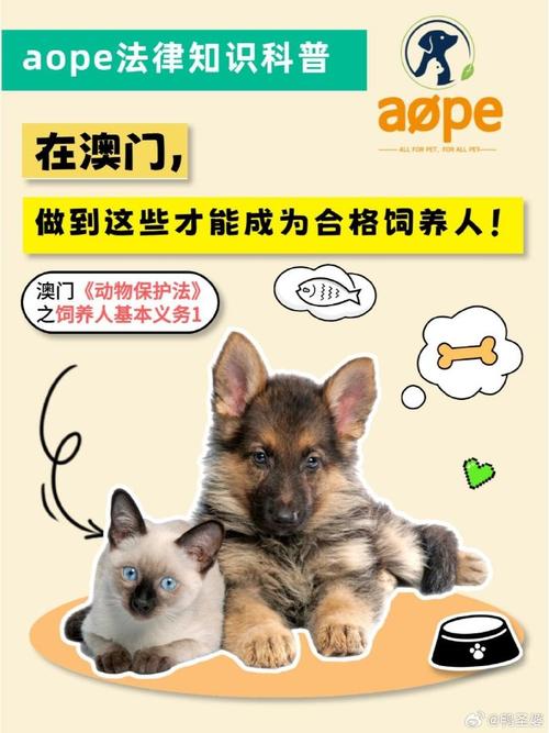 新澳2025最新资料大全18和在动物园偷拽老虎毛与在动物园偷拽老虎毛毛